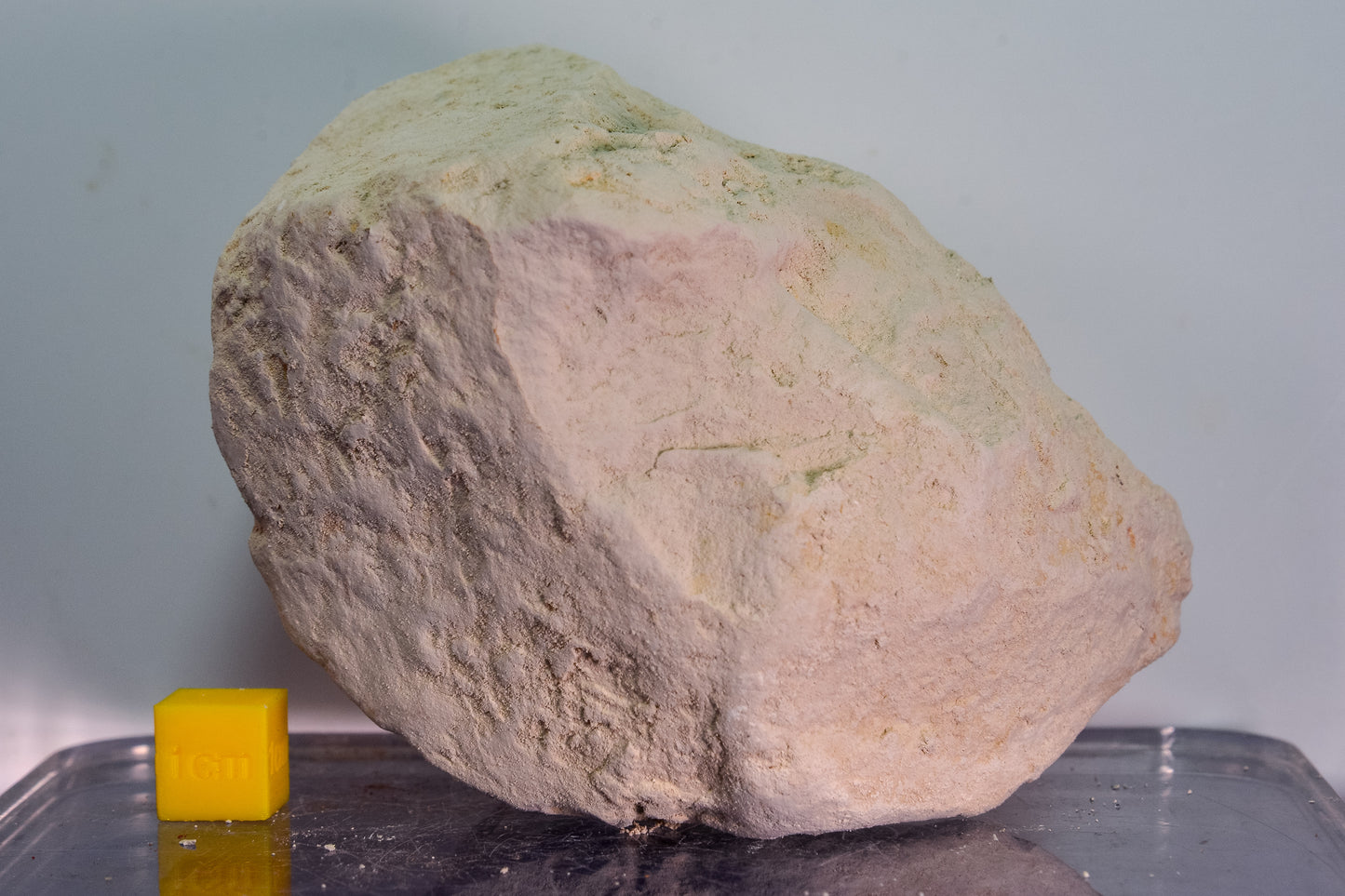 Orwell Clunch (England, UK)