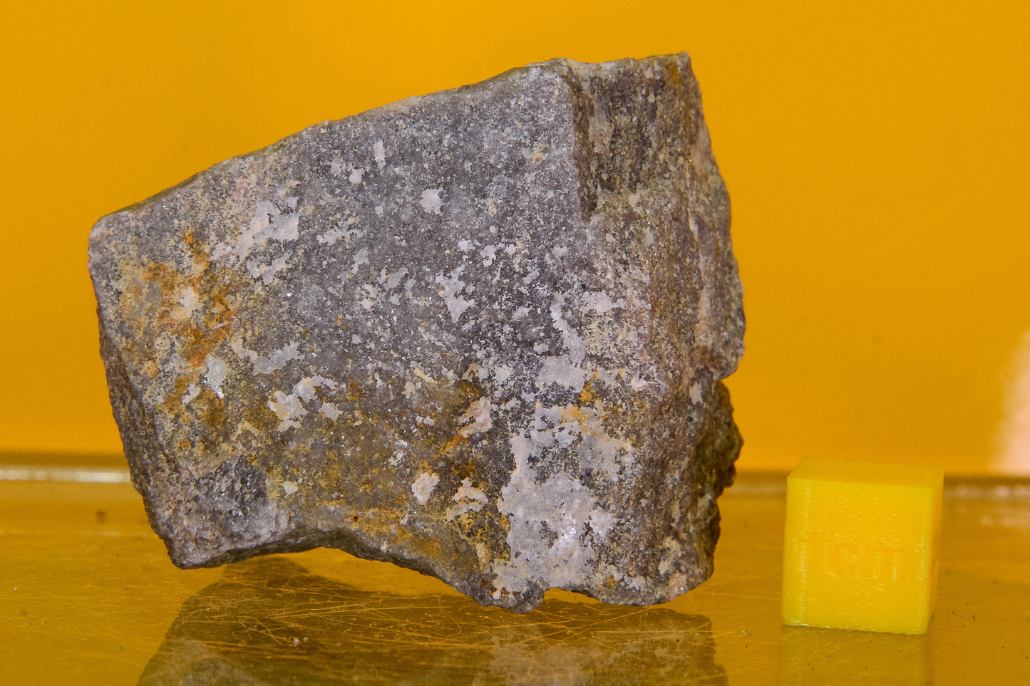 Stiperstones Quartzite Specimen (England, UK)