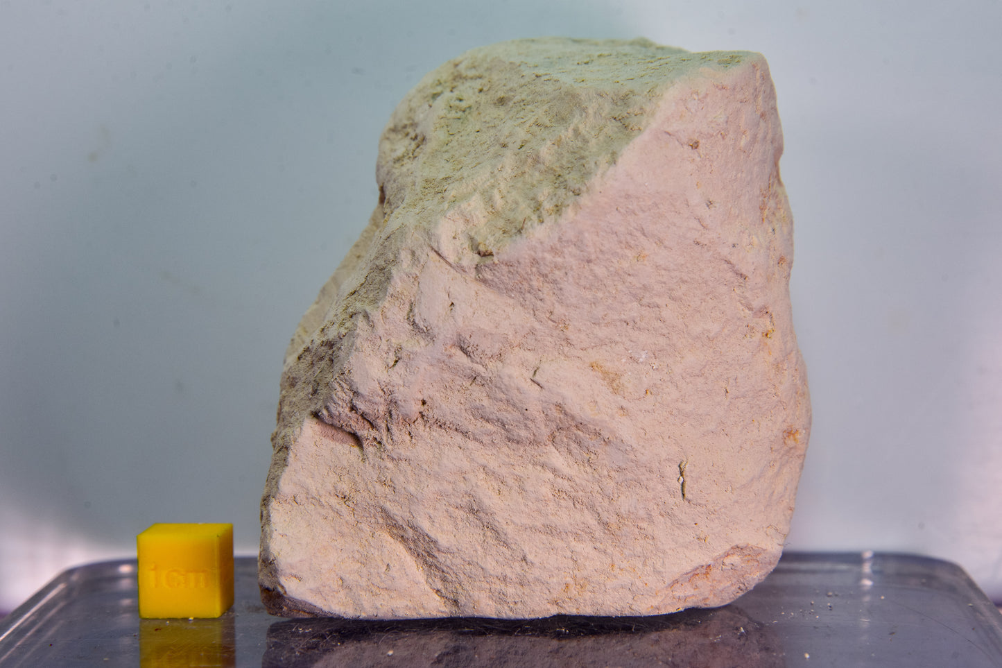 Orwell Clunch (England, UK)