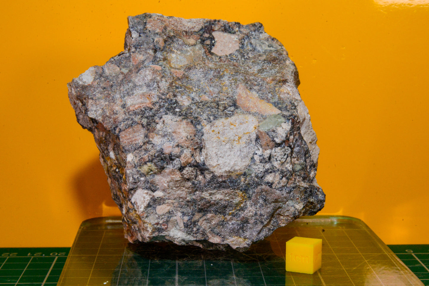 Ercall Conglomerate Specimen (England, UK)