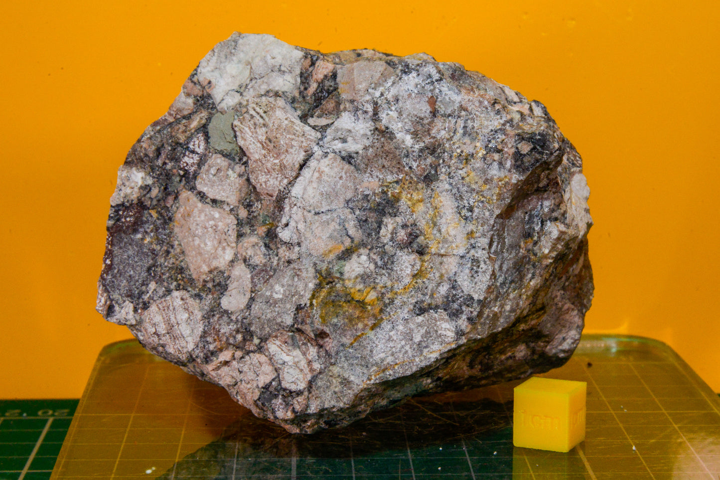 Ercall Conglomerate Specimen (England, UK)