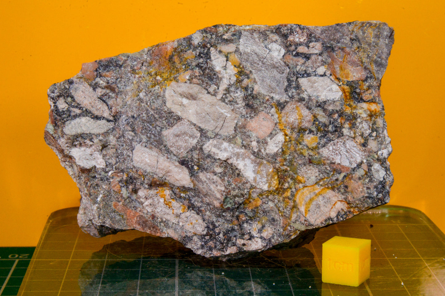 Ercall Conglomerate Specimen (England, UK)