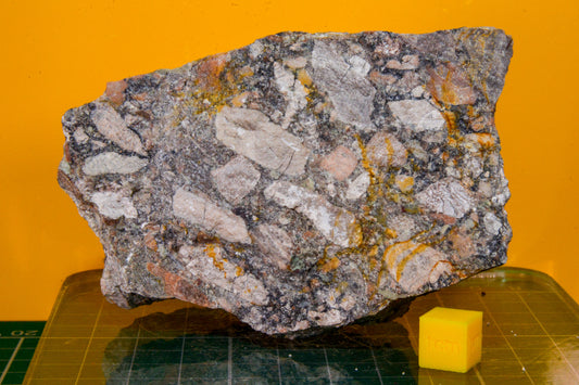 Ercall Conglomerate Specimen (England, UK)