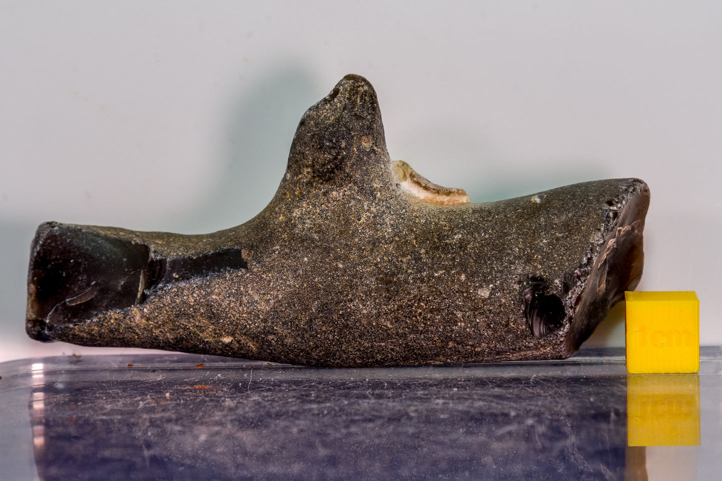 Suffolk Flint Nodule (England, UK)