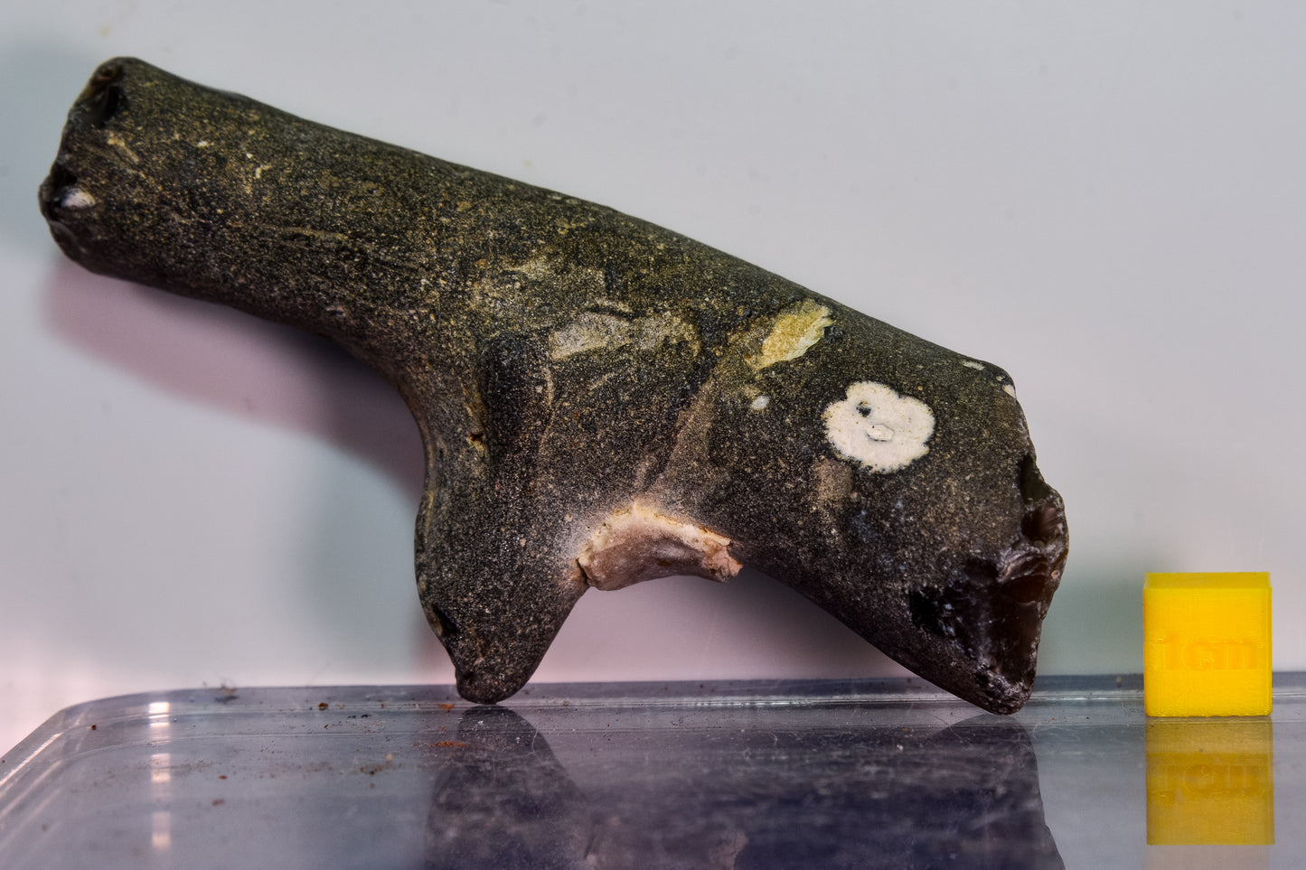 Suffolk Flint Nodule (England, UK)