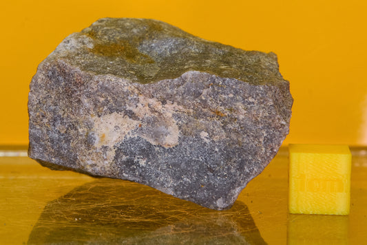 Stiperstones Quartzite Specimen (England, UK)