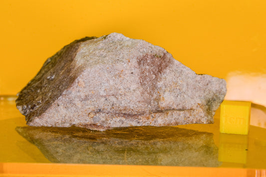 Stiperstones Quartzite Specimen (England, UK)