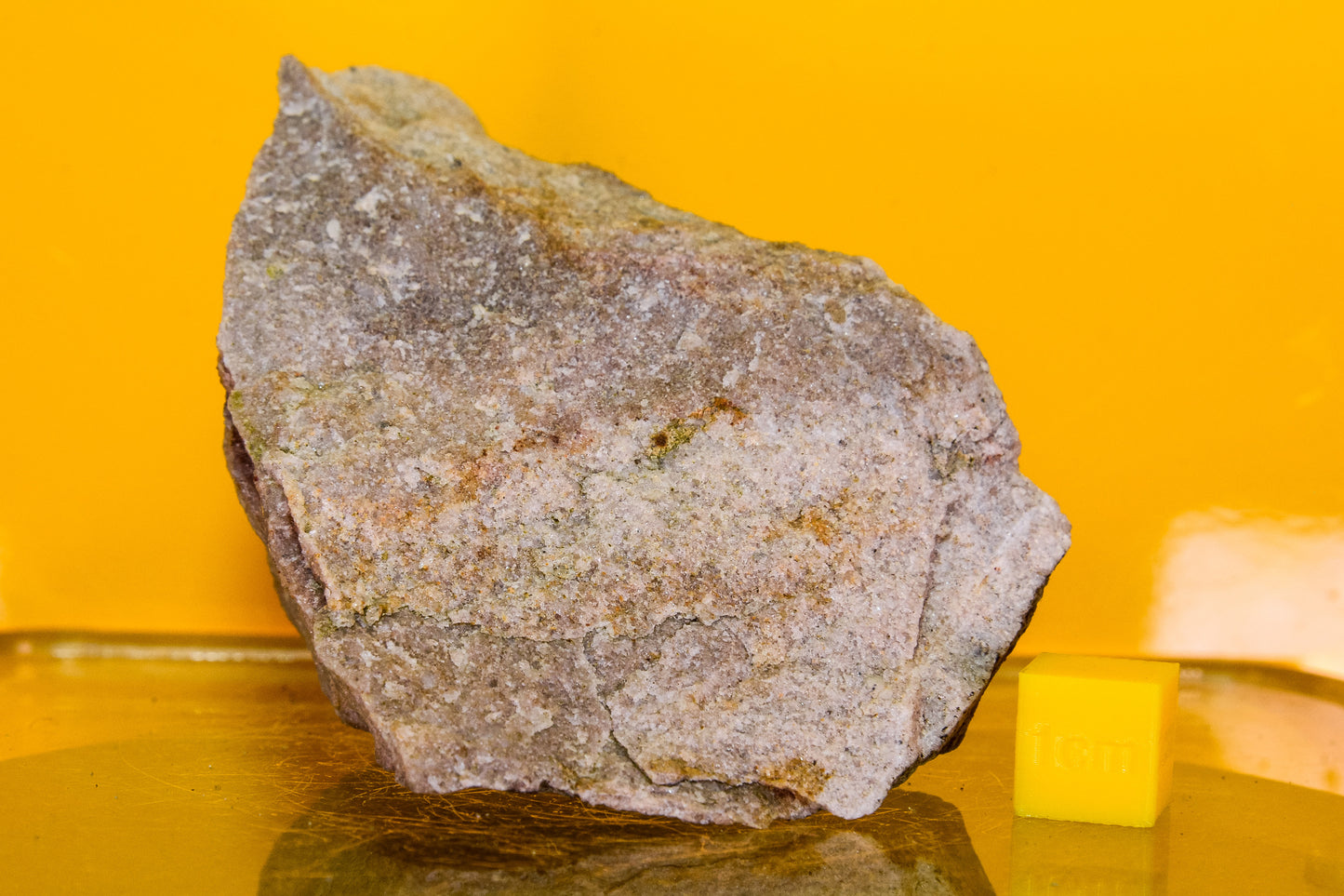 Stiperstones Quartzite Specimen (England, UK)
