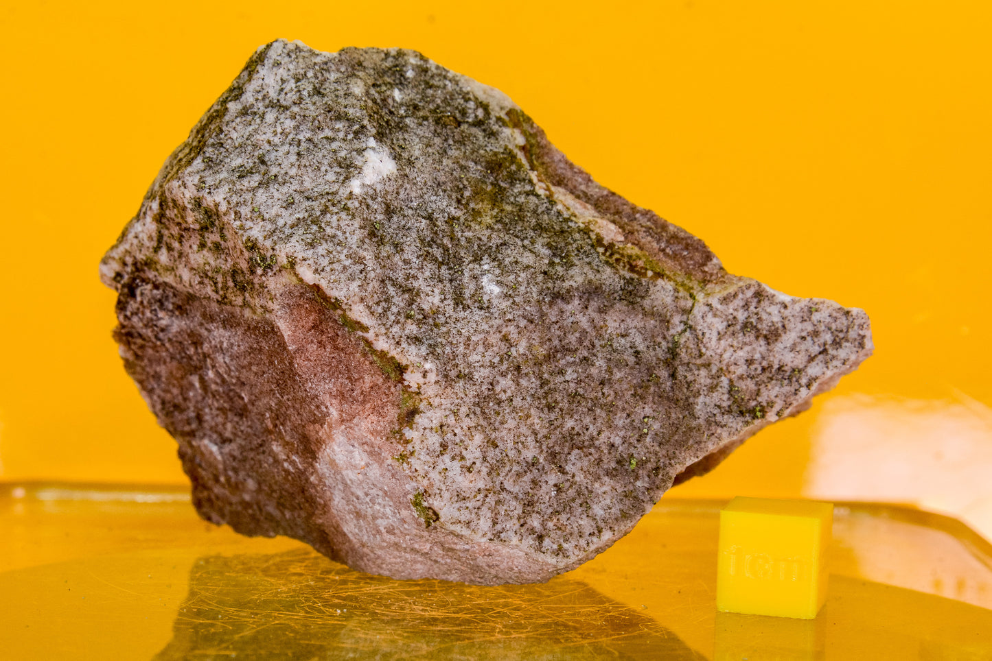 Stiperstones Quartzite Specimen (England, UK)