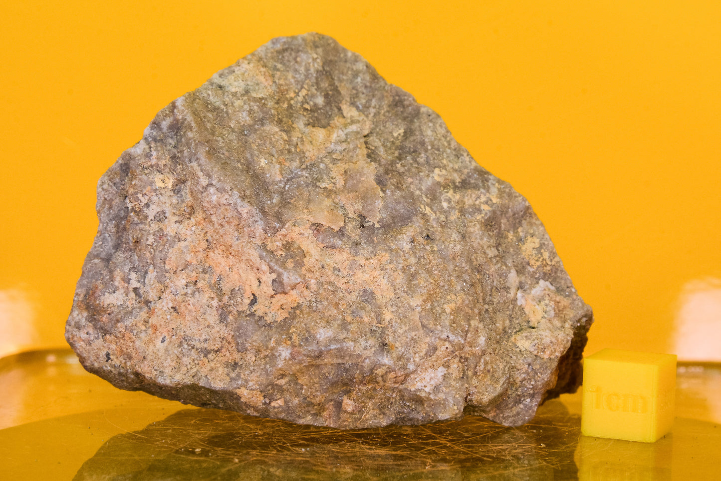 Stiperstones Quartzite Specimen (England, UK)