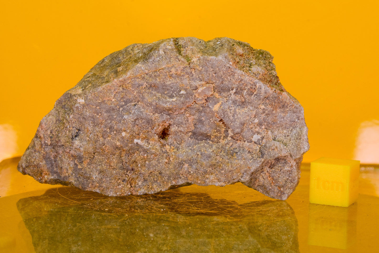 Stiperstones Quartzite Specimen (England, UK)