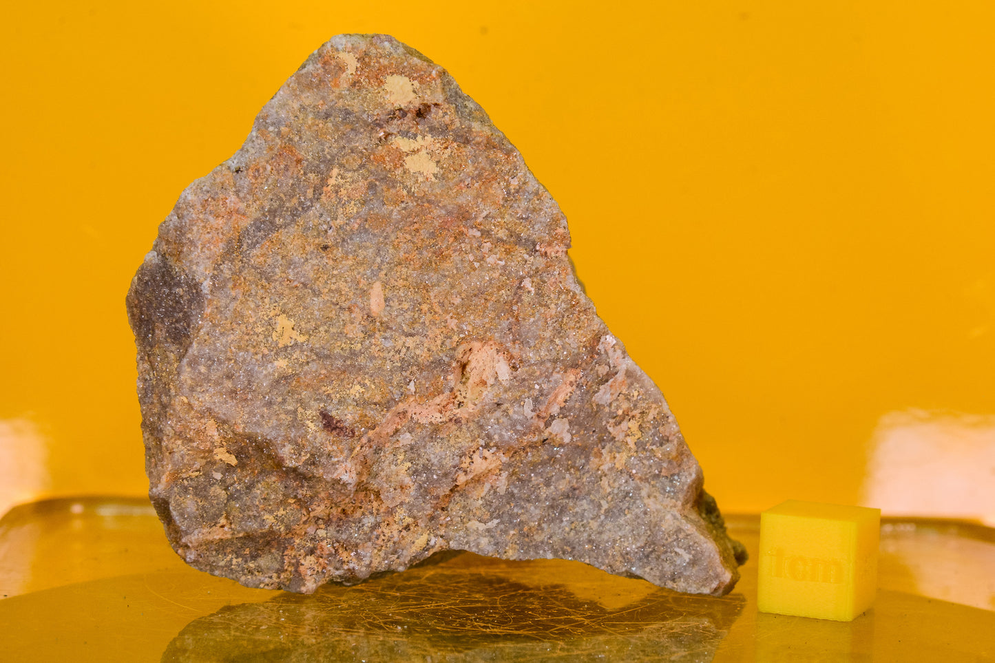 Stiperstones Quartzite Specimen (England, UK)