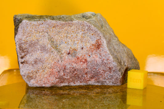 Stiperstones Quartzite Specimen (England, UK)
