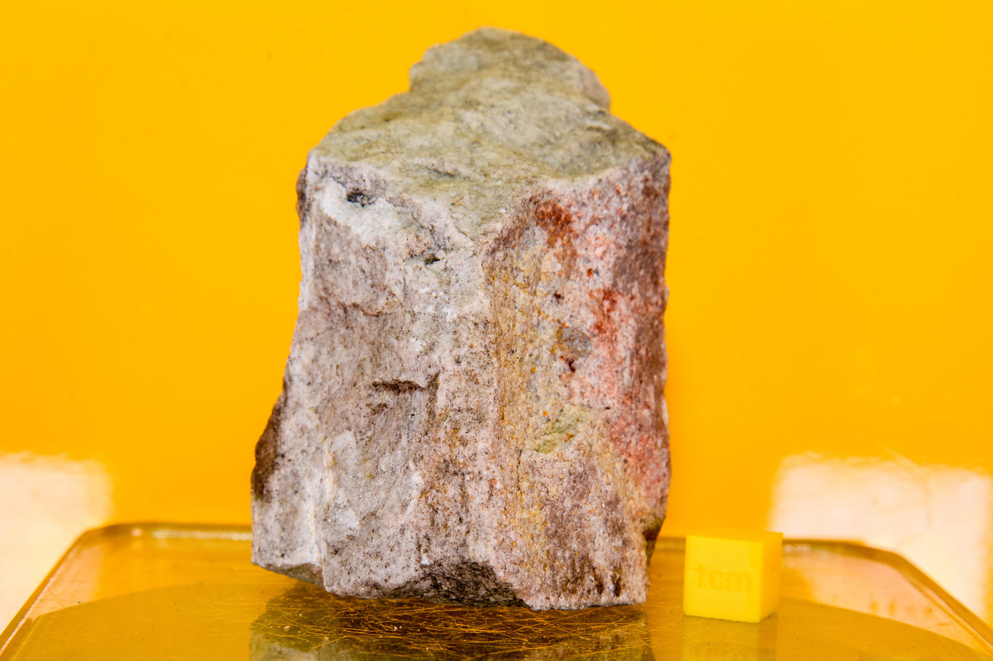 Stiperstones Quartzite Specimen (England, UK)