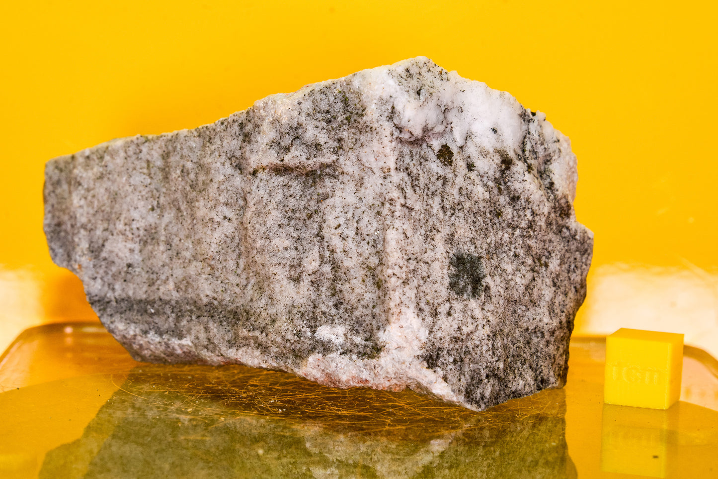Stiperstones Quartzite Specimen (England, UK)